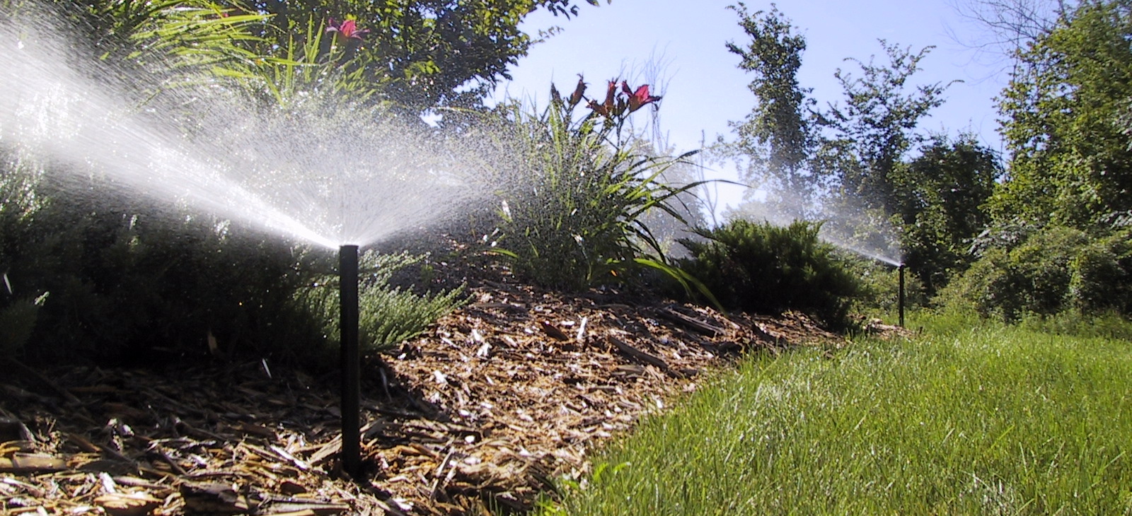 Grapids Irrigation lawn care and service membership program