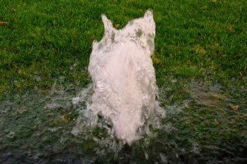 Leaking Irrigation Pipe