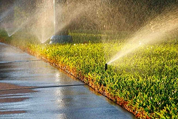 Spinkler Heads Watering